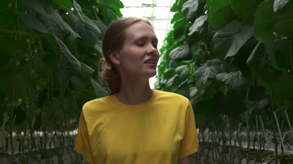 Closeup View of Woman Walking Along Row of Green Plants at Greenhouse of Agro Company Spbd