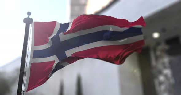 Norwegian national flag. Norway country waving flag