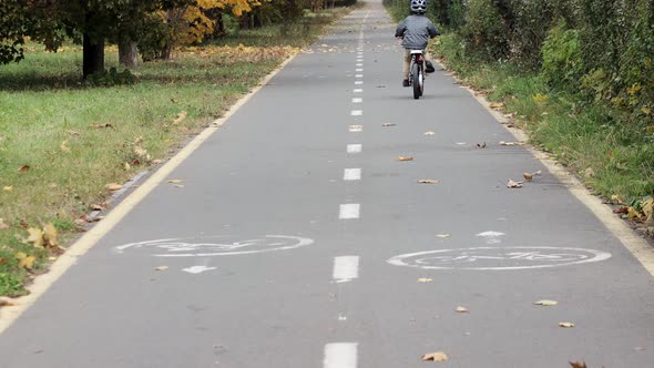 Little boy in a helmet on a bicycle rides on a bike path in the park.