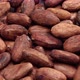 rotating cocoa beans background close up - VideoHive Item for Sale