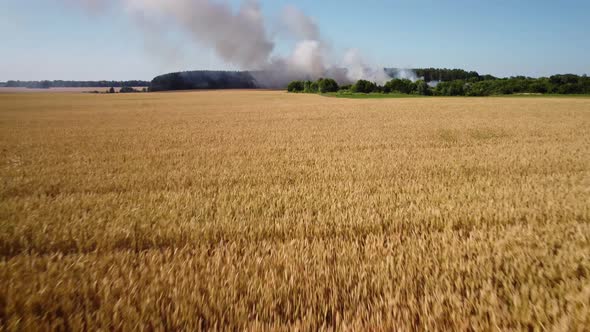 Flying over the field of grain to garbage dump in fire