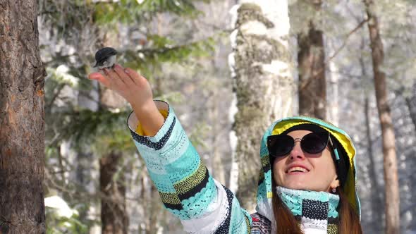 Bird in Women's Hand Eat Seeds