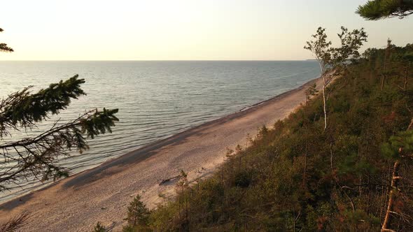 Aerial Flight Through Trees: Beautiful Sunset at Baltic Sea with Latvian Forest and Sand Precipice