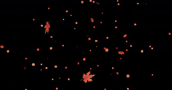 Falling leaves. 4K