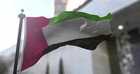 United Arab Emirates national flag. UAE country waving flag