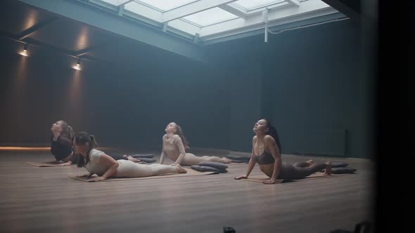 Team of Females Doing Yoga in a Dark Room Flexible Womans Performs a Beautiful Stretching with Yoga