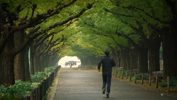 Man Running for Exercise in a Park in Tokyo