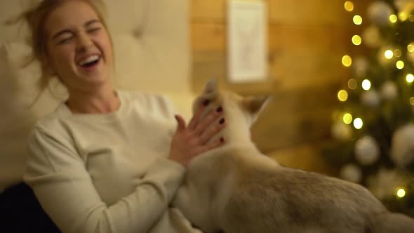 Closeup Portrait of Happy Adult Girl and Husky Puppy with Blue Eyes Fooling Around Having Fun on Bed