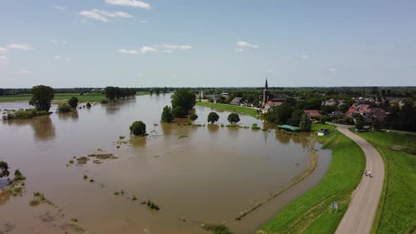 Flooded land and floodplains, drowned trees, river Maas village Appeltern