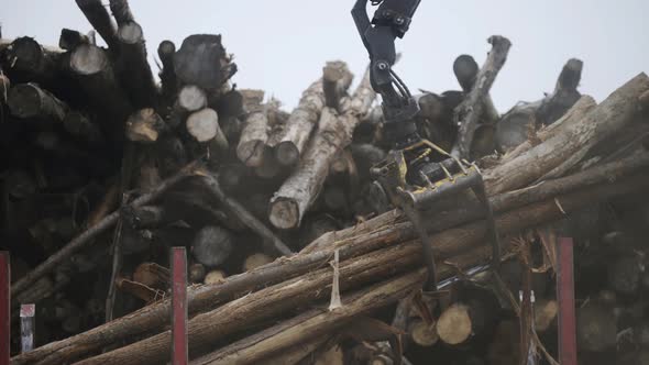 Log Grappler Getting Pieces of Logs From Truck. Deforestation for Industrial Production, Mechanical