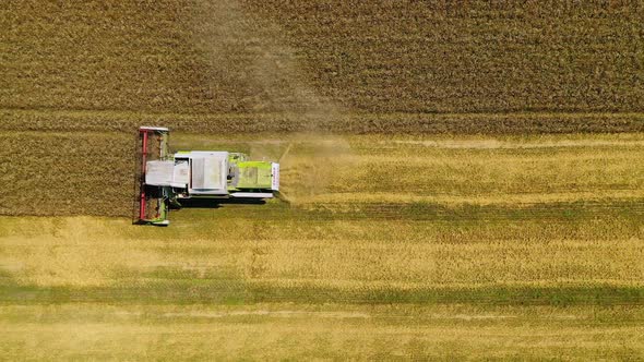 Top view of working combine. Aerial view of agricultural land with harvester