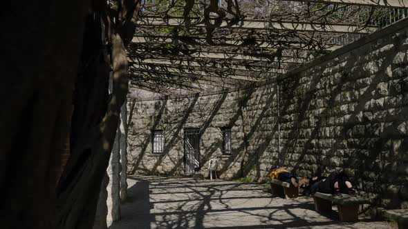 People resting on benches in a historic garden with wisteria flowers over pergolas