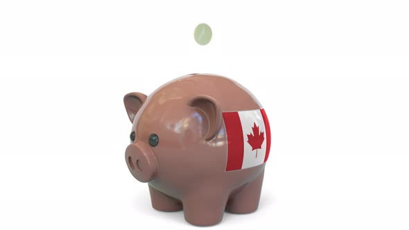 Putting Money Into Piggy Bank with Flag of Canada