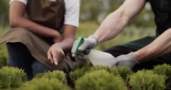 Cropped Gardeners Spraying Fertilizer on Plants