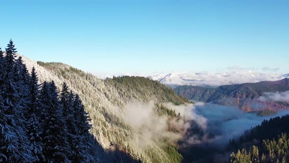 Fly over misty forest mountain. Forest covered with snow in the winter.