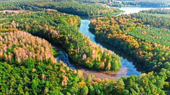 Colorful autumn forest and turning river at sunset, aerial view