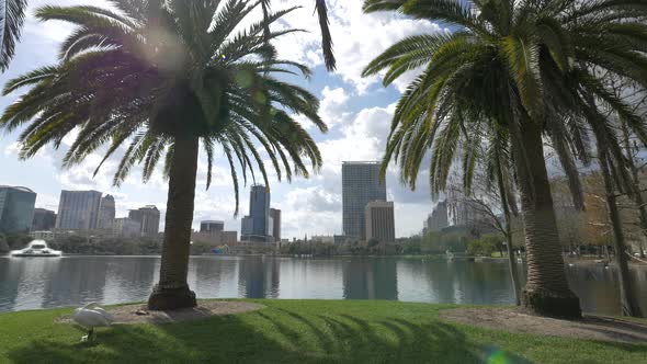 Buildings across Lake Eola Park