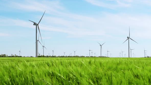 Group of windmills for electric power production in the green field of wheat