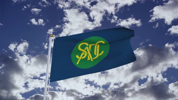 SADS Flag With Sky 4k