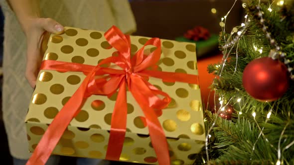 Women's Hands Are Holding Out a Beautifully Wrapped Gift