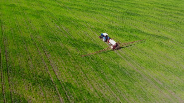 Tractor Is Spraying Pesticides on Grain Field.