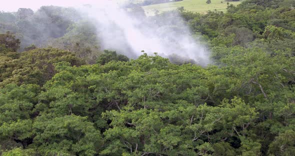 Aerial 4k drone footage of smoke bellowing through treetops of a forest.