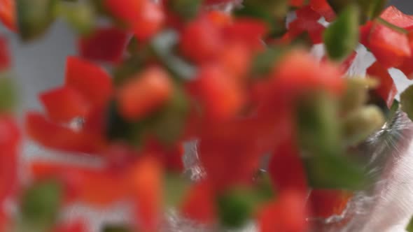 Tossing green and red bell pepper in heated fry pan. Slow Motion.