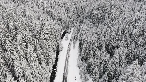 White Car Driving Along the Long Snowy Road During Winter Months