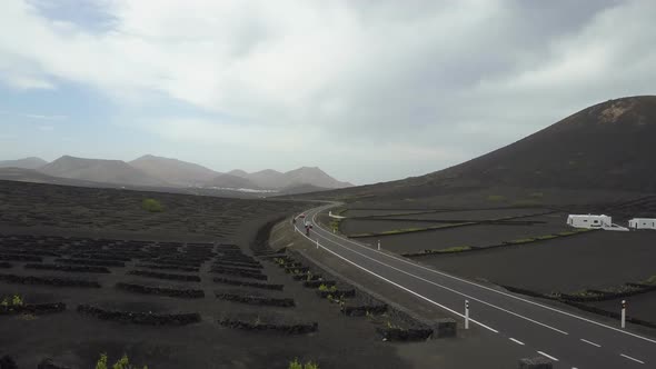 Drone Shot of Cars and Bicycles Moving By a Road Among Vineyards on Black Volcanic Soil in Lanzarote