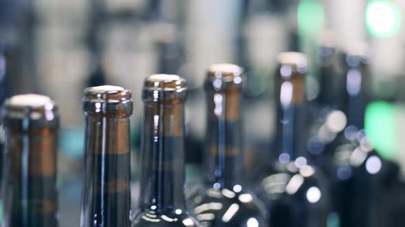 Close Up Shot of Wine Bottle Conveyor