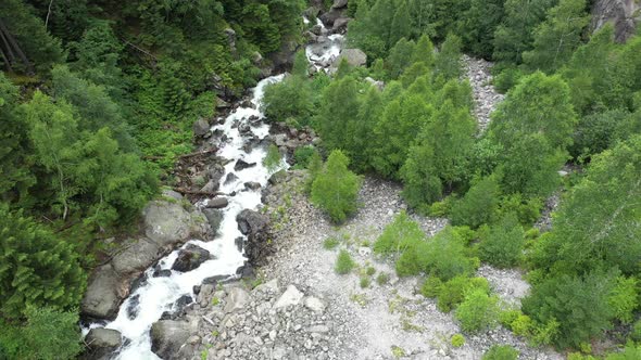Stream and Green Forest