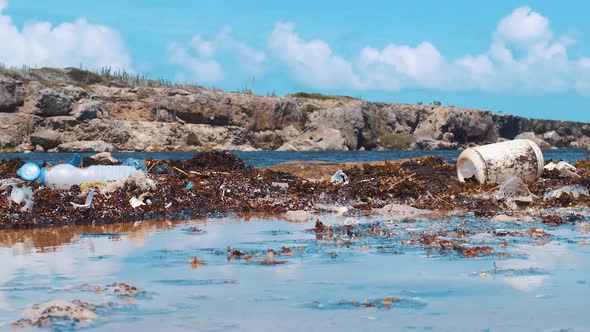 Plastic pollution littered on beach with sargassum seaweed bloom, Caribbean