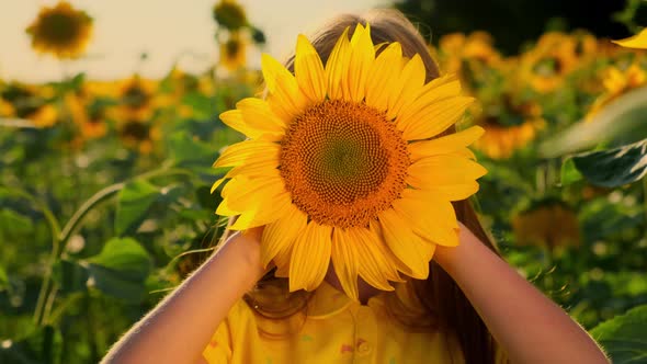 Girl Playing and Having Fun in a Sunflower Field