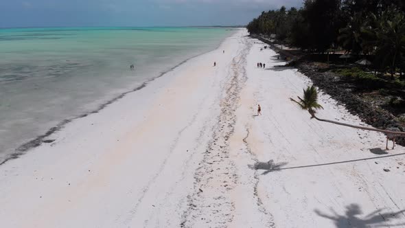 Ocean Coastline with Paradise Beach Hotels and Palm Trees Zanzibar Aerial View