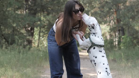 A Dog Dalmatian and Girl