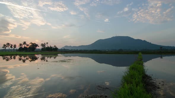 Reflection sunrise in Paddy Field at Bukit Mertajam, Penang, Malaysia.