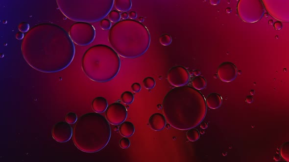 Abstract Colorful Food Oil Drops Bubbles 262