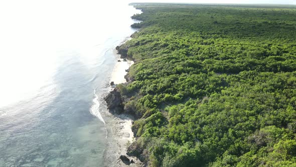 Coast of Zanzibar Island Tanzania Covered with Thickets