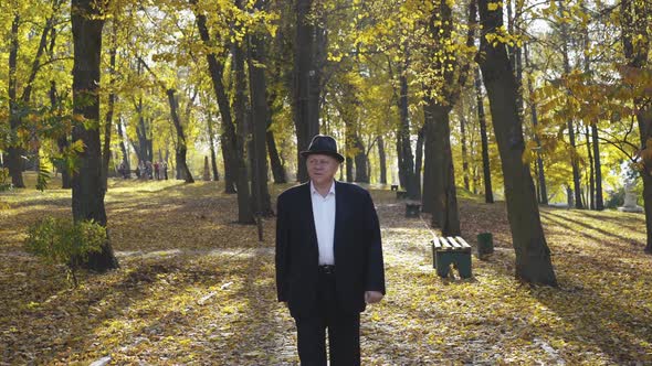 Elegant Man in Suit and Hat Walks Paths of Autumn Sunny Park and Looks Around