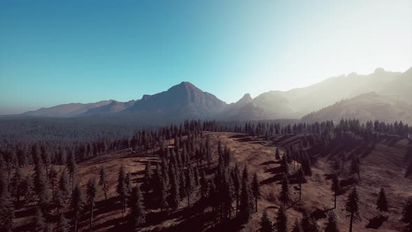 Rocky Mountain Range with Trees