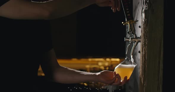 Barman Pours Unfiltered Light Beer From the Beer Tap to the Glass in Slow Motion Pouring Wheat Beer