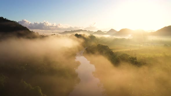 Sunrise Fog Jungle River Mountain Aerial Drone Shot