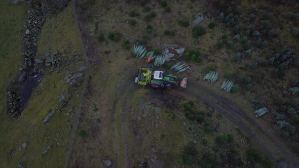 Topdown View Of Tractor With Workers Harvesting And Packing Spruce Trees On A Farm. Aerial Rotating
