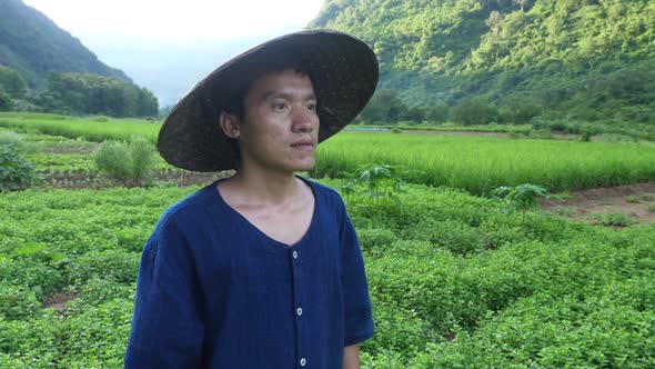 Asian Farmer Looking Something At Vegetable Garden