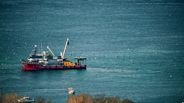 Fishing Boat