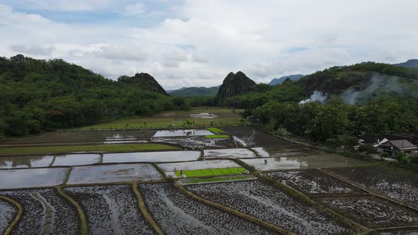 Aerial drone view of rock mountain cliff in the middle of the rice field.