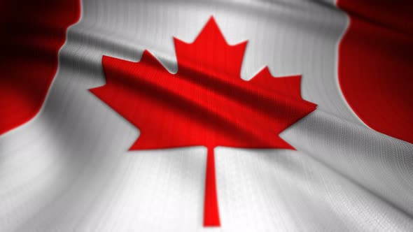 Canada Flag Seamless Loop