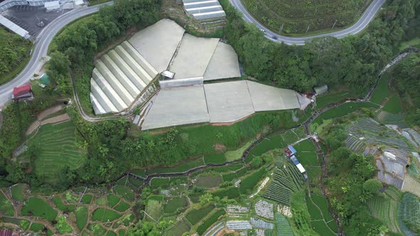 Cameron Highlands, Pahang Malaysia