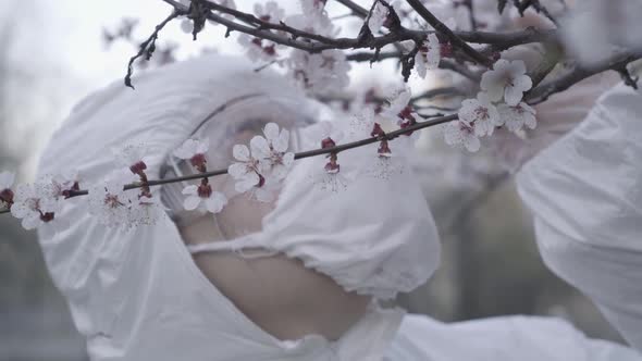 Close-up of Blooming Tree Branch with White Tender Flowers and Blurred Woman Enjoying Smell