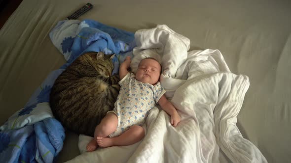 Newborn Baby with Big Cat Sleeping on the Bed